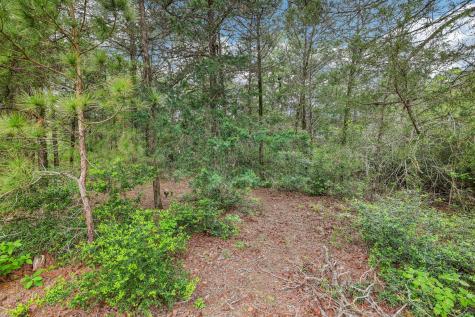 267 Corral Road Smithville TX 78957