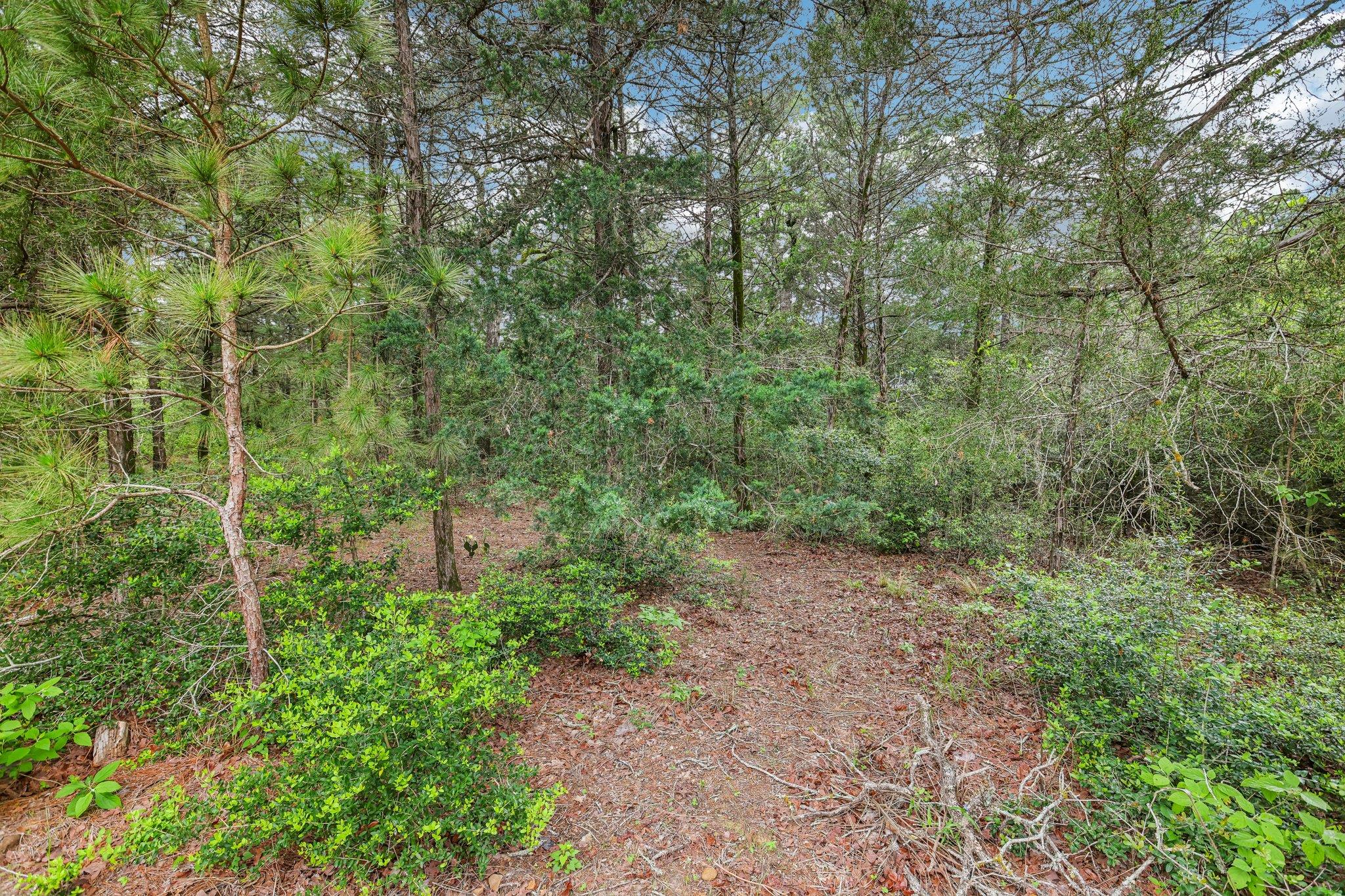 267 Corral Road Smithville TX 78957