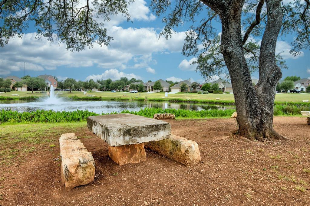 2805 Mossy Springs Drive Leander TX 78641