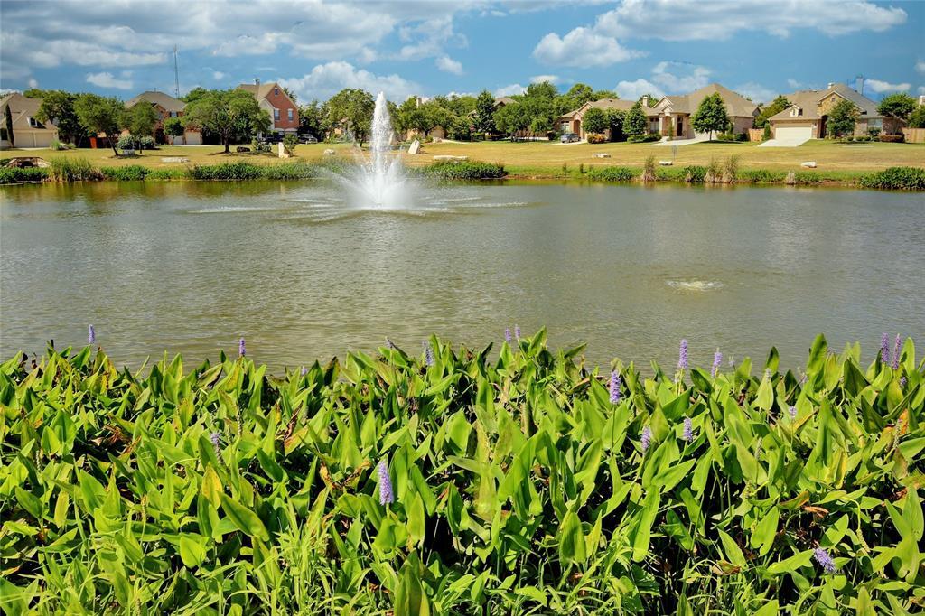 2805 Mossy Springs Drive Leander TX 78641