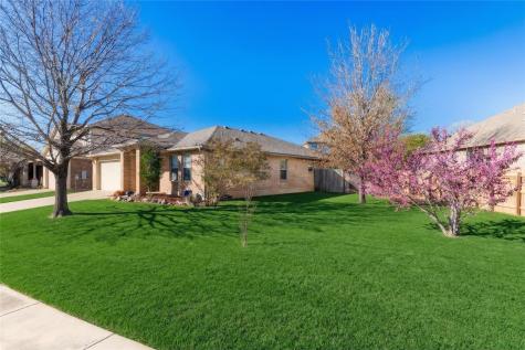 1310 Grande Mesa Drive Georgetown TX 78626
