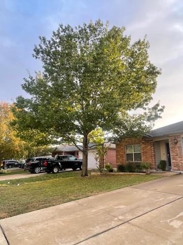 280 Spruce Drive Kyle TX 78640