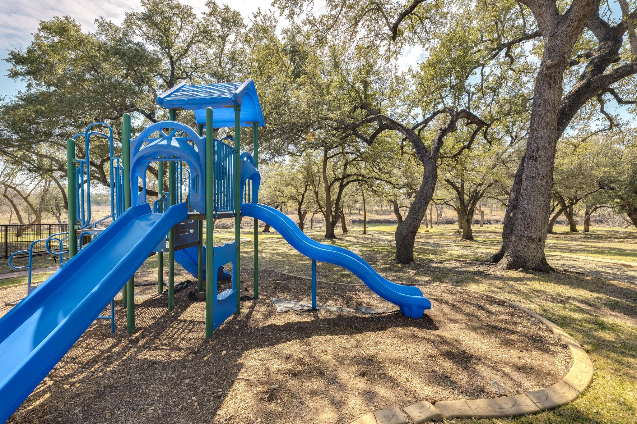 100 Noble Log Grove Liberty Hill TX 78642