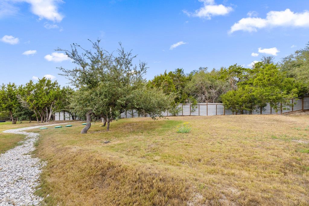 10006 George Hill Drive Dripping Springs TX 78620