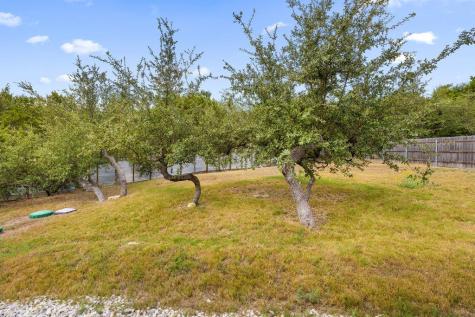 10006 George Hill Drive Dripping Springs TX 78620
