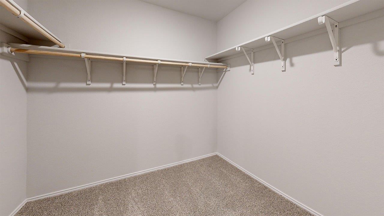 557 Hector Loop Georgetown TX 78626