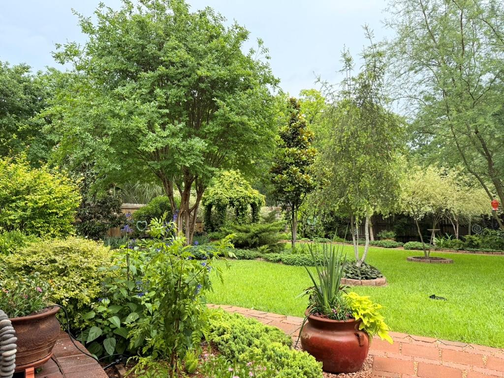 2221 Rio Brisas Cove Round Rock TX 78681
