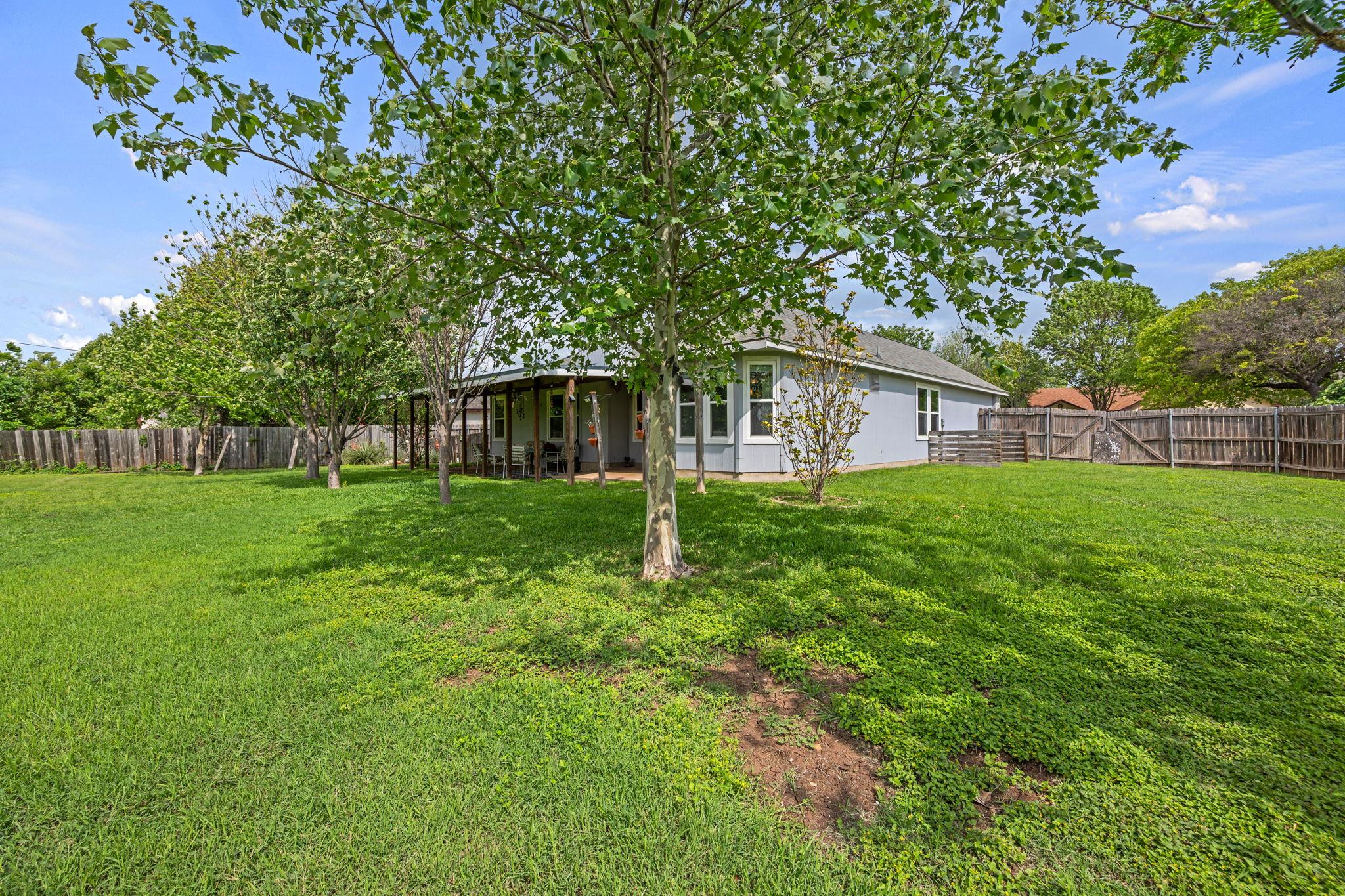 206 Evergreen Circle Georgetown TX 78626
