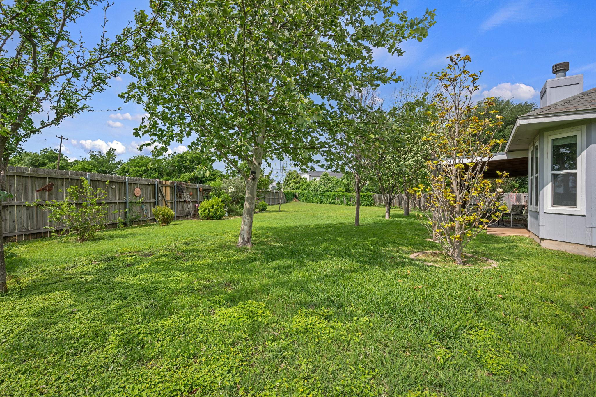 206 Evergreen Circle Georgetown TX 78626