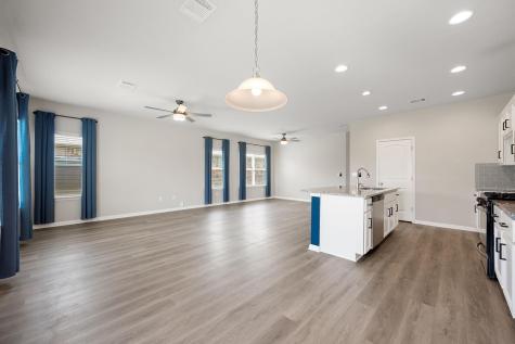121 Shiner Lane Georgetown TX 78626