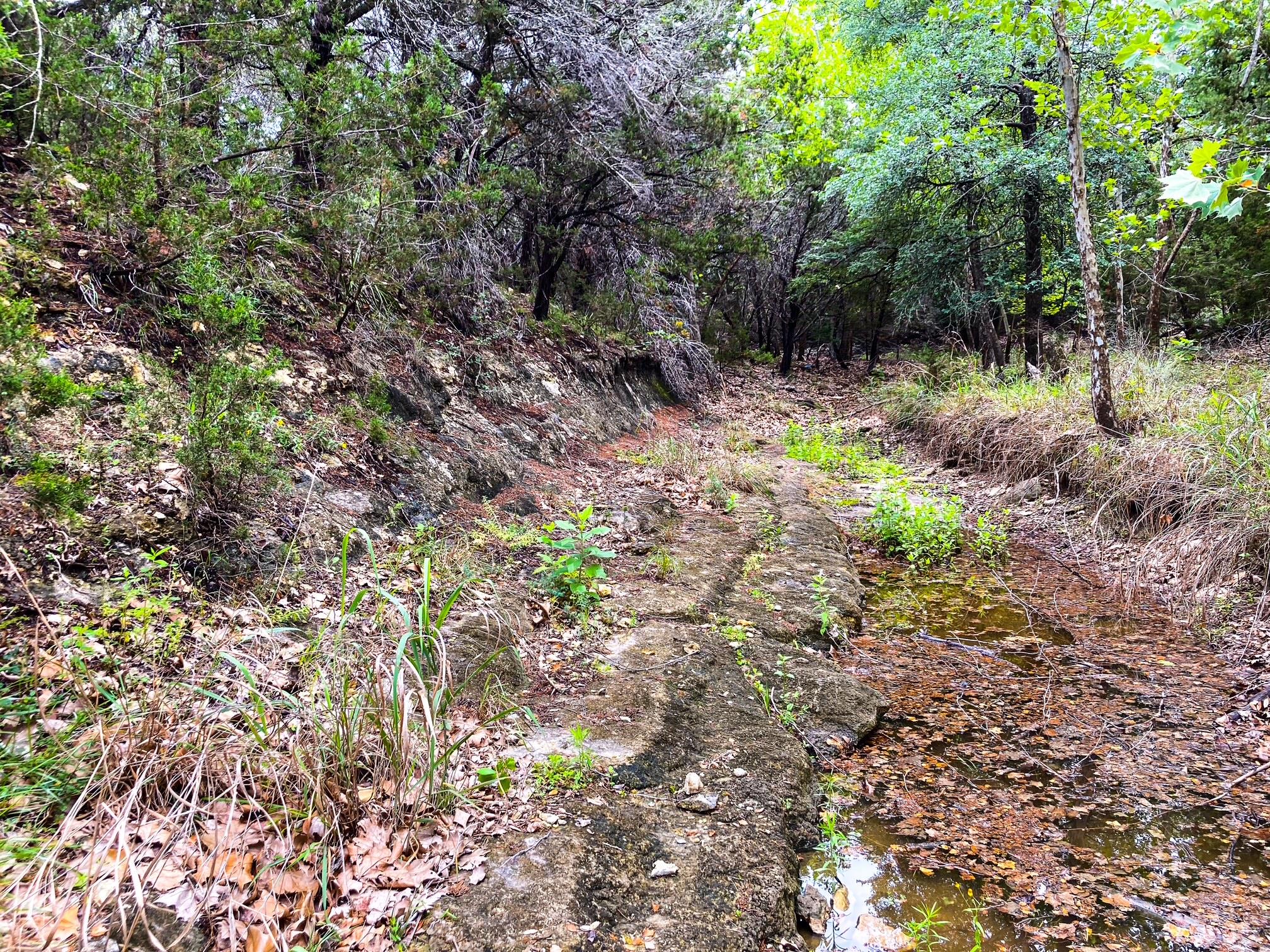 702 Cottonwood Creek Road Dripping Springs TX 78620