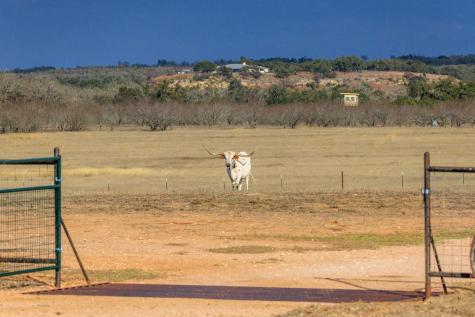 888 Dietrich Road Fredericksburg TX 78624