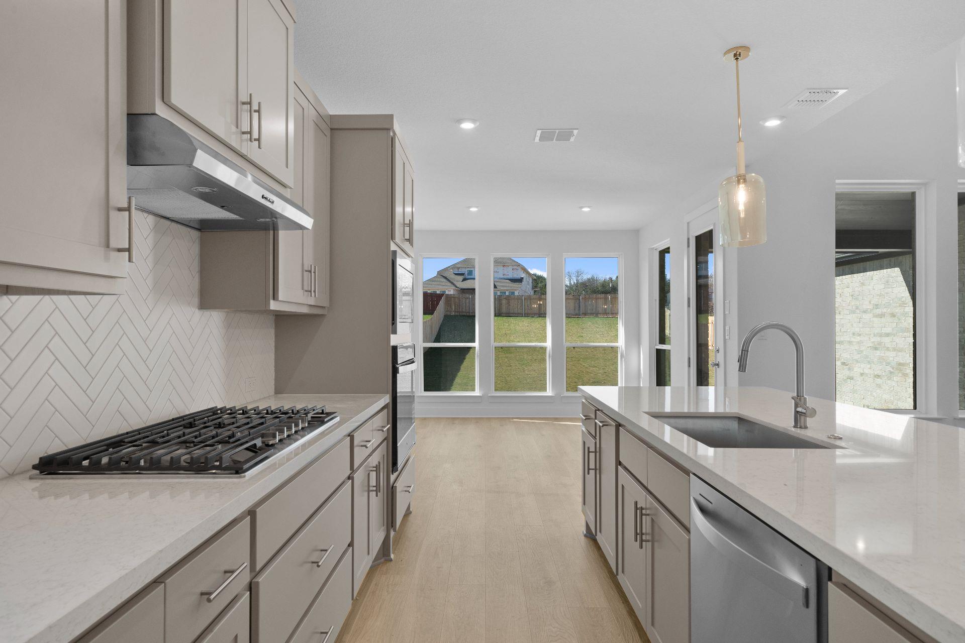 2217 Sarabanda Street Round Rock TX 78681