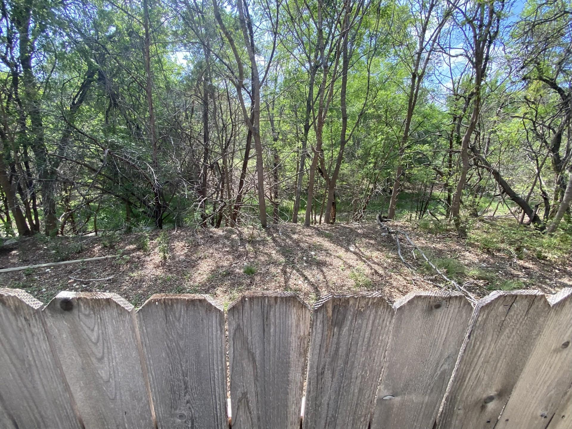 16318 Spotted Eagle Drive Leander TX 78641
