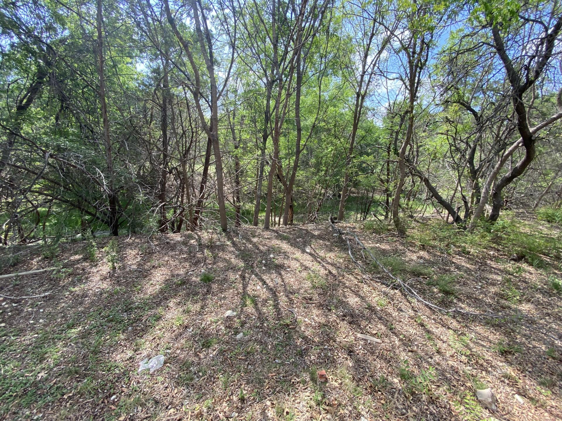 16318 Spotted Eagle Drive Leander TX 78641