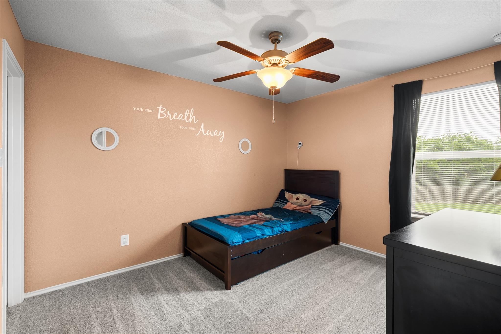 137 Barn Owl Loop Leander TX 78641