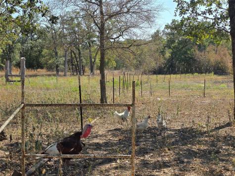376 Jones Road Cedar Creek TX 78612