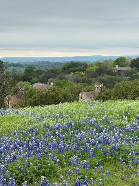 124 Apache Tears Drive Horseshoe Bay TX 78657