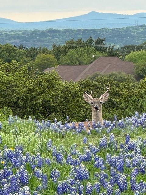 124 Apache Tears Drive Horseshoe Bay TX 78657