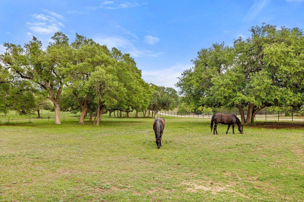 2560 Bell Springs Road Dripping Springs TX 78620