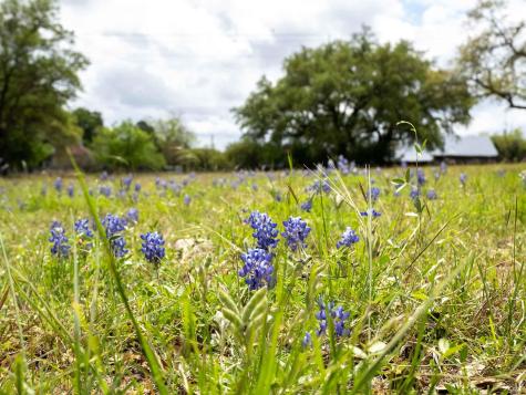 100 Linsey Cove Burnet TX 78611