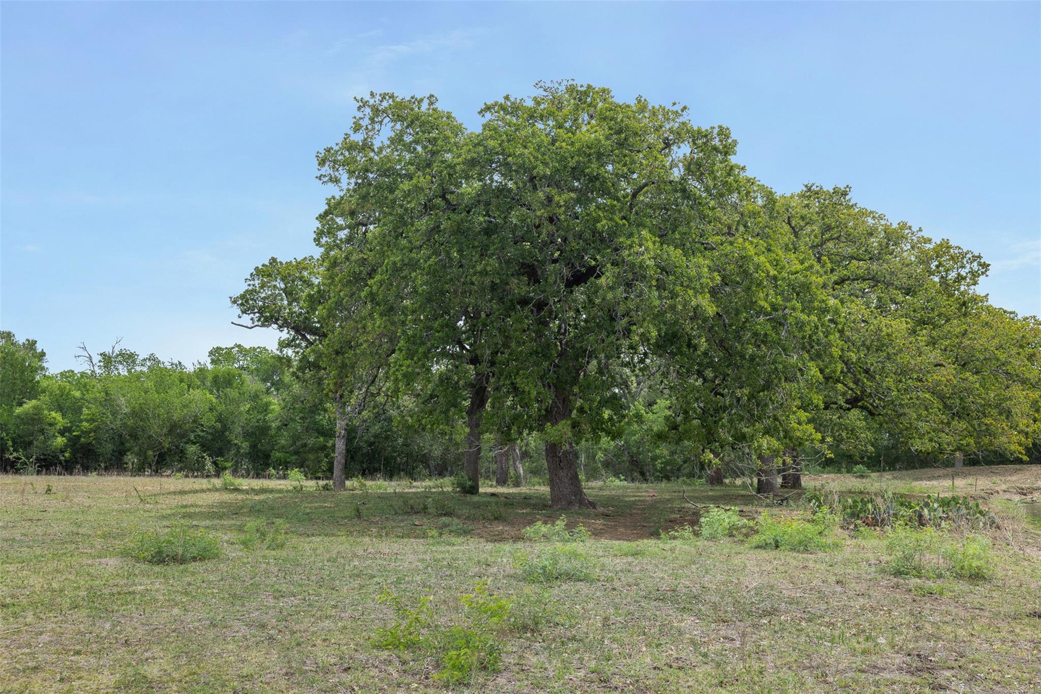 9765 State Park Road Lockhart TX 78644