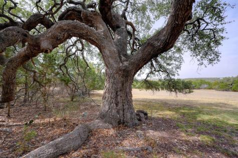 6573 Ranch Road 165 Blanco TX 78606