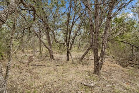 1398 Lazy Forest New Braunfels TX 78132