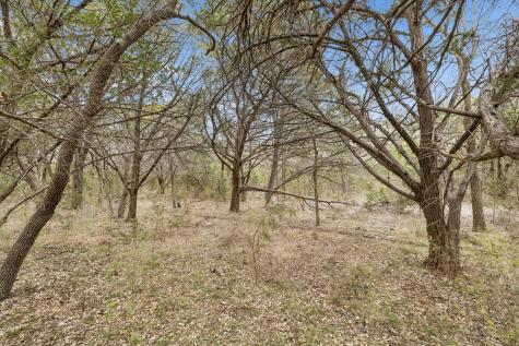 1398 Lazy Forest New Braunfels TX 78132