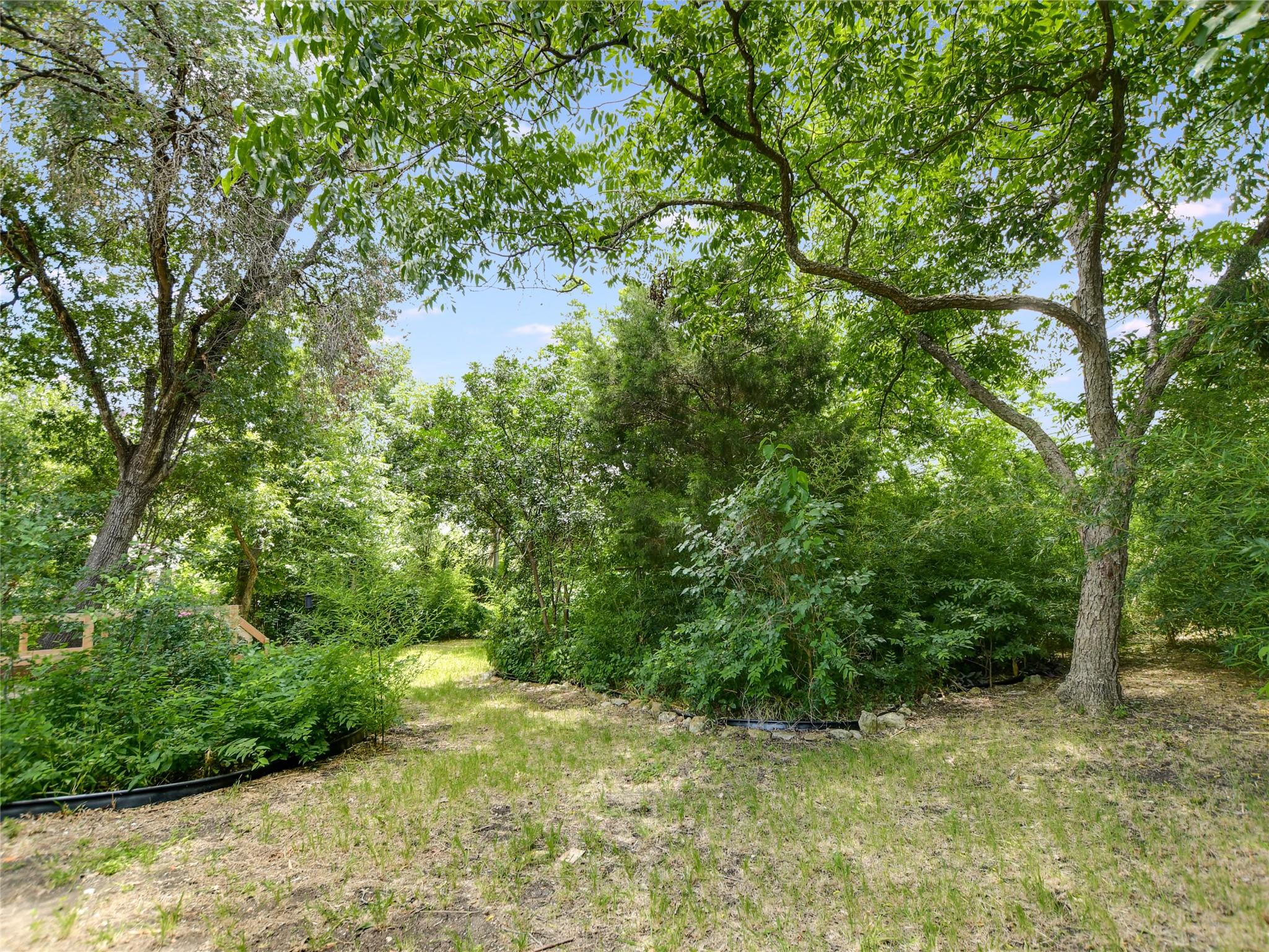 2901 W 45th Street Austin TX 78731