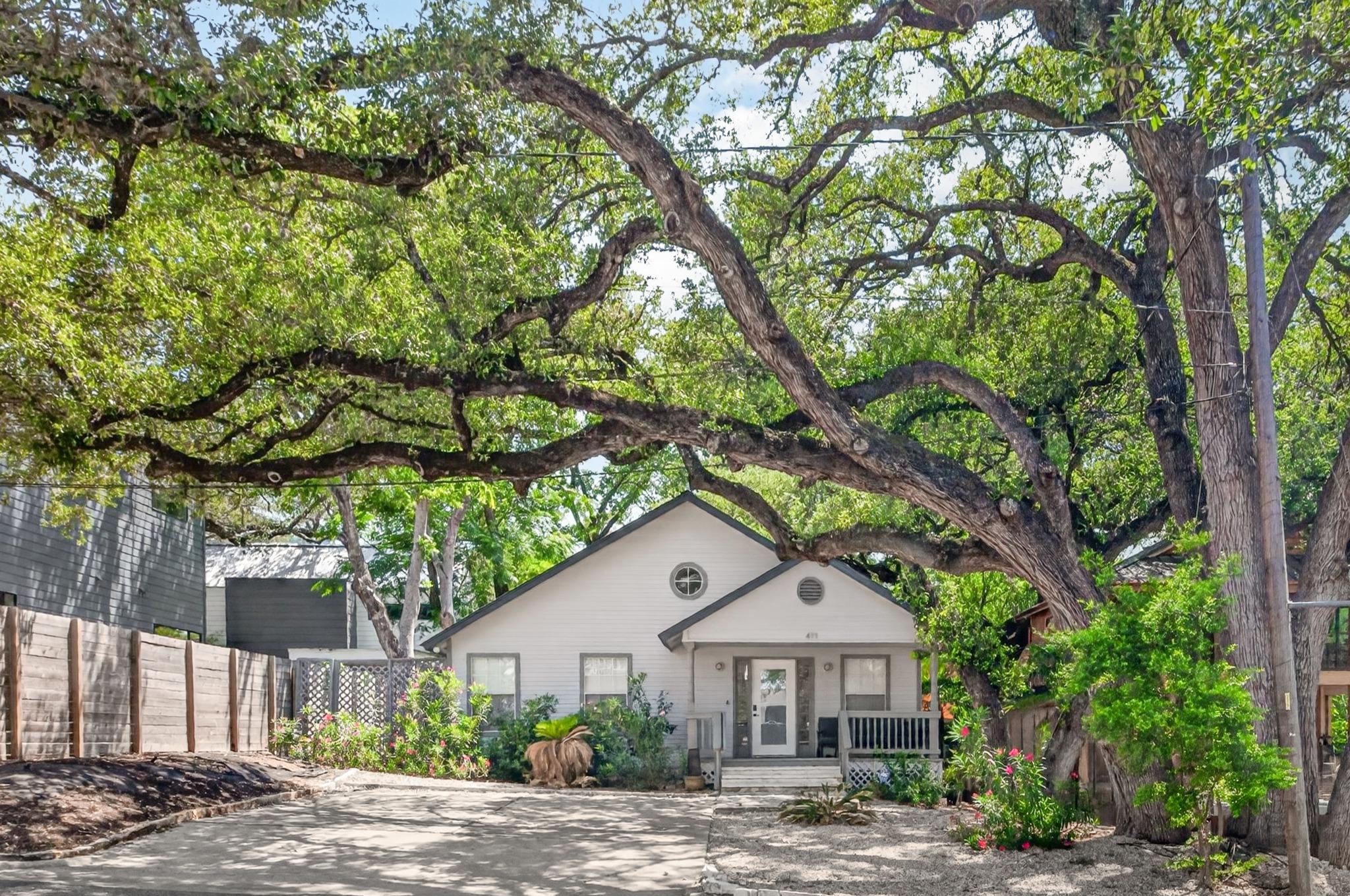 411 W Live Oak Street Austin TX 78704