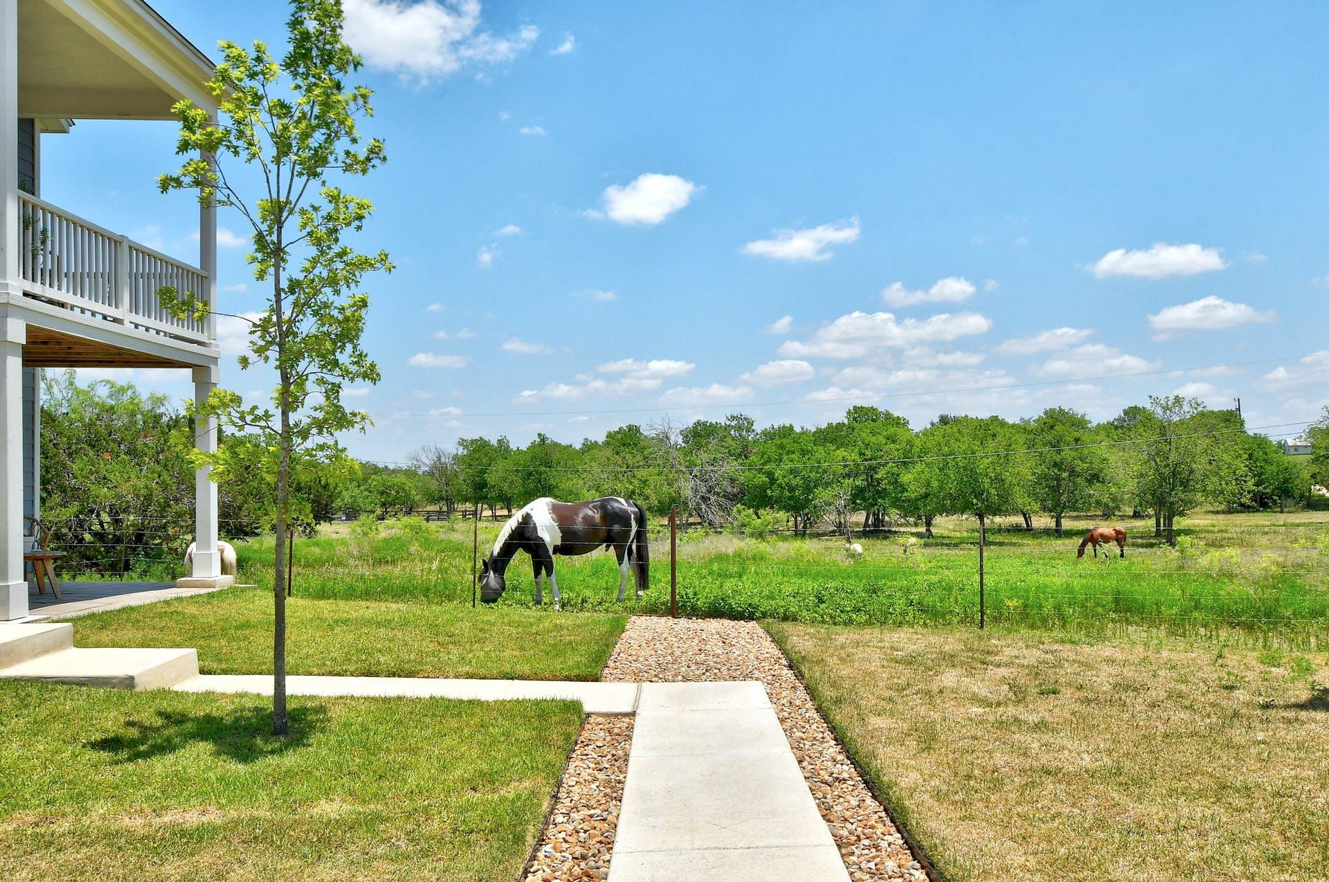 524 Ferrule Drive Kyle TX 78640