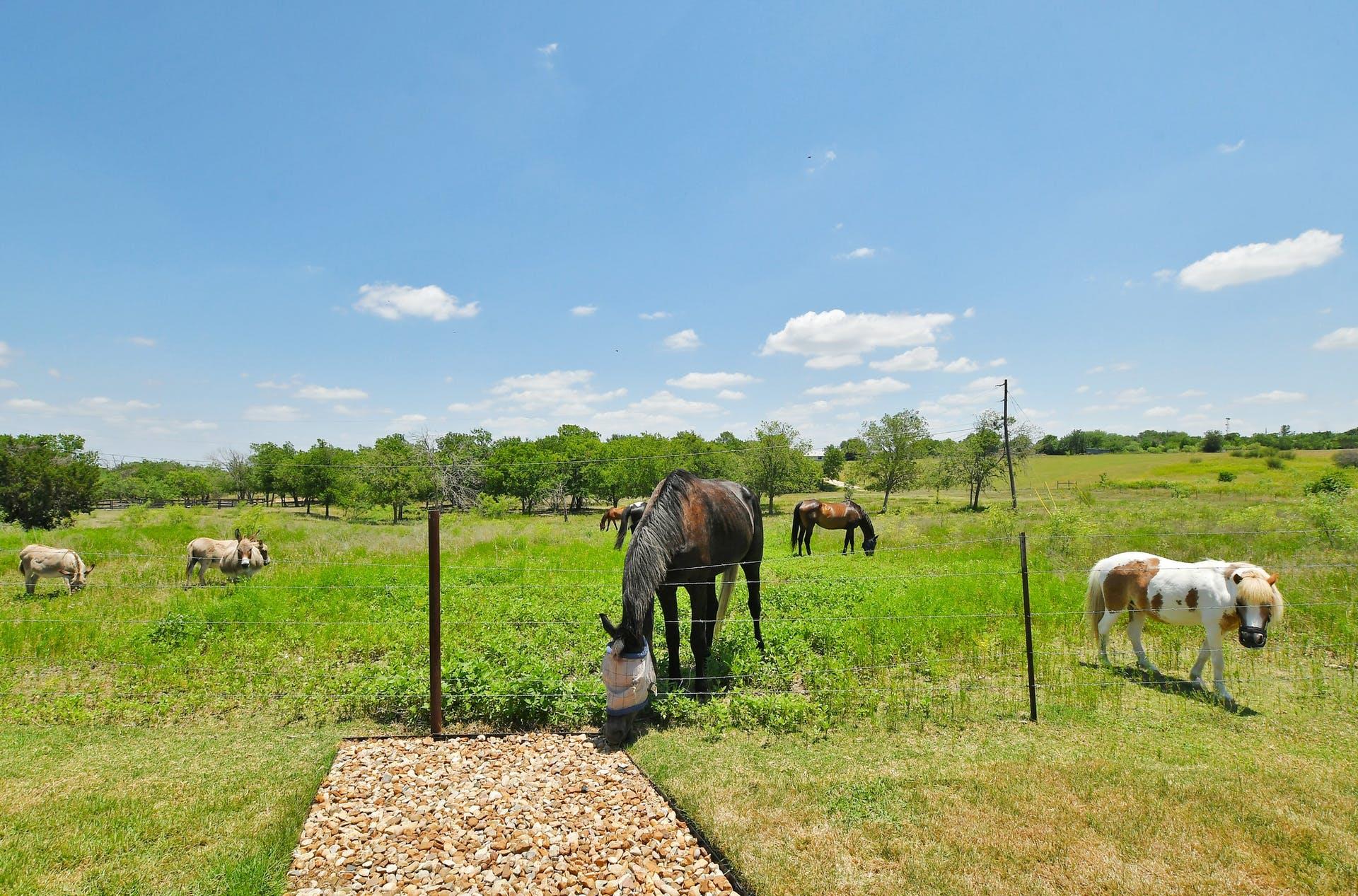 524 Ferrule Drive Kyle TX 78640