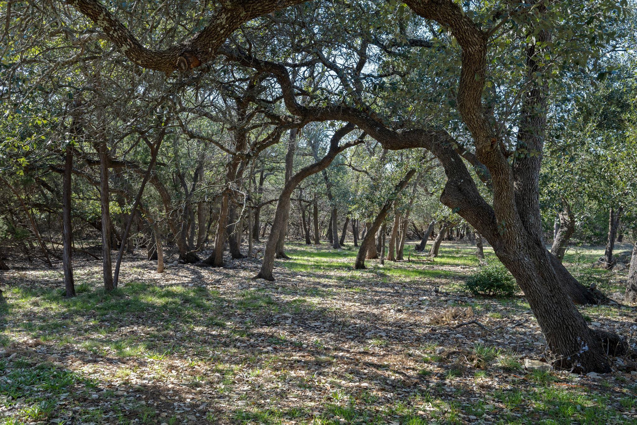 75 Four T Ranch Road Georgetown TX 78633