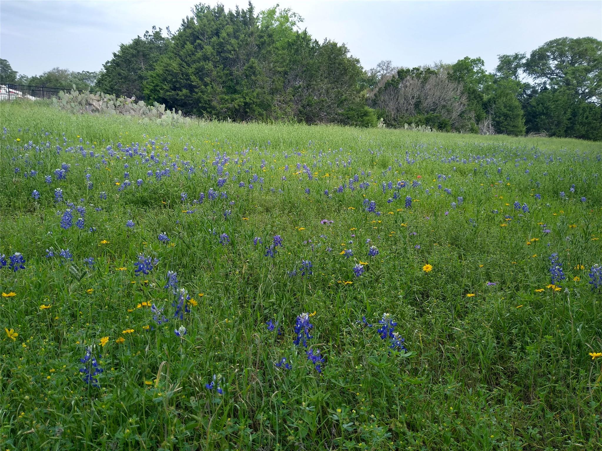 75 Four T Ranch Road Georgetown TX 78633
