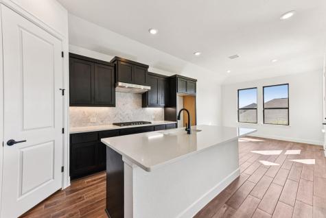 203 Olive Blossom Trail San Marcos TX 78666