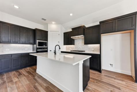 203 Olive Blossom Trail San Marcos TX 78666