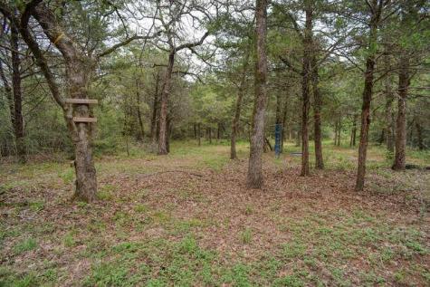 247 Campfire Way Smithville TX 78957