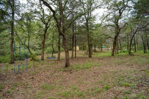 247 Campfire Way Smithville TX 78957
