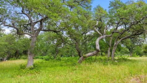 11002 Foundation Road Austin TX 78726