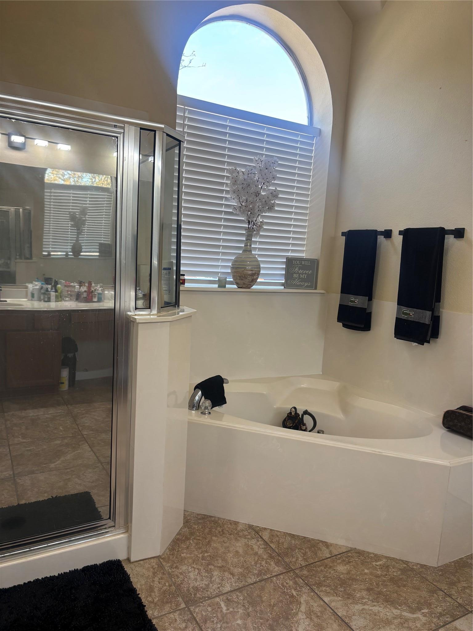 13600 Amber Dawn Court Manor TX 78653