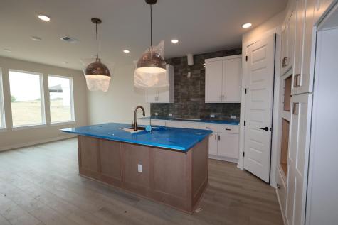 13102 Cerulean Spring Drive Buda TX 78610