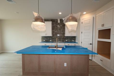 13102 Cerulean Spring Drive Buda TX 78610