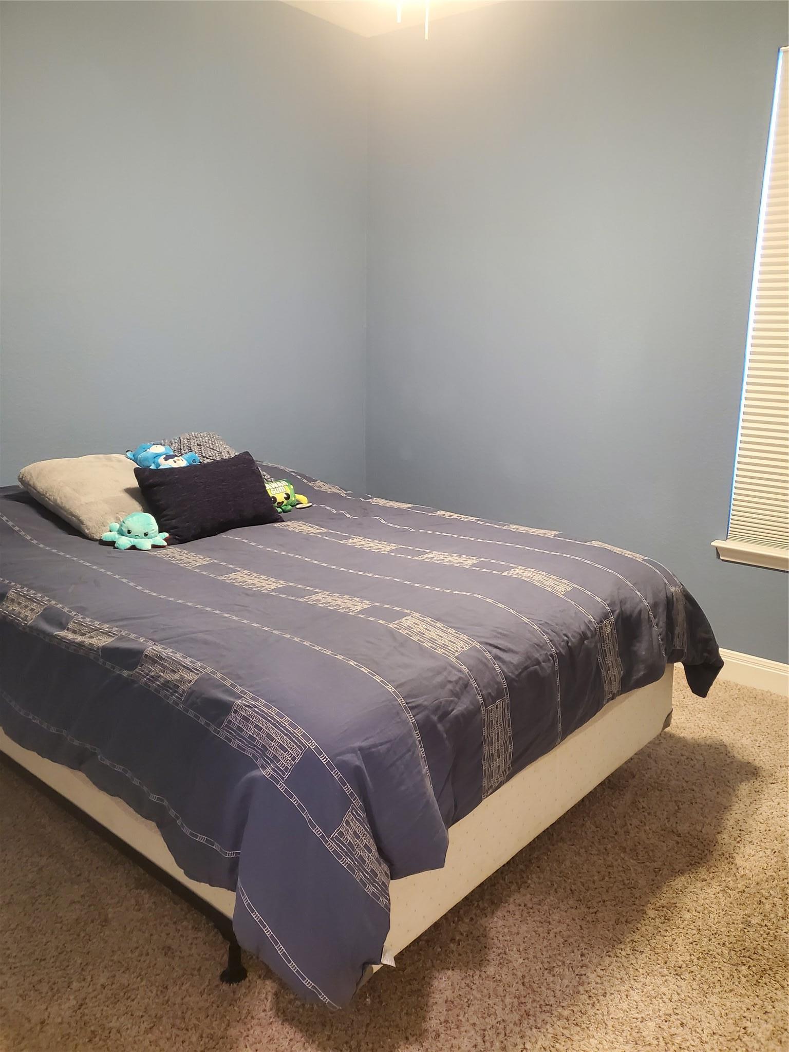 313 Los Cobos Lane Georgetown TX 78626