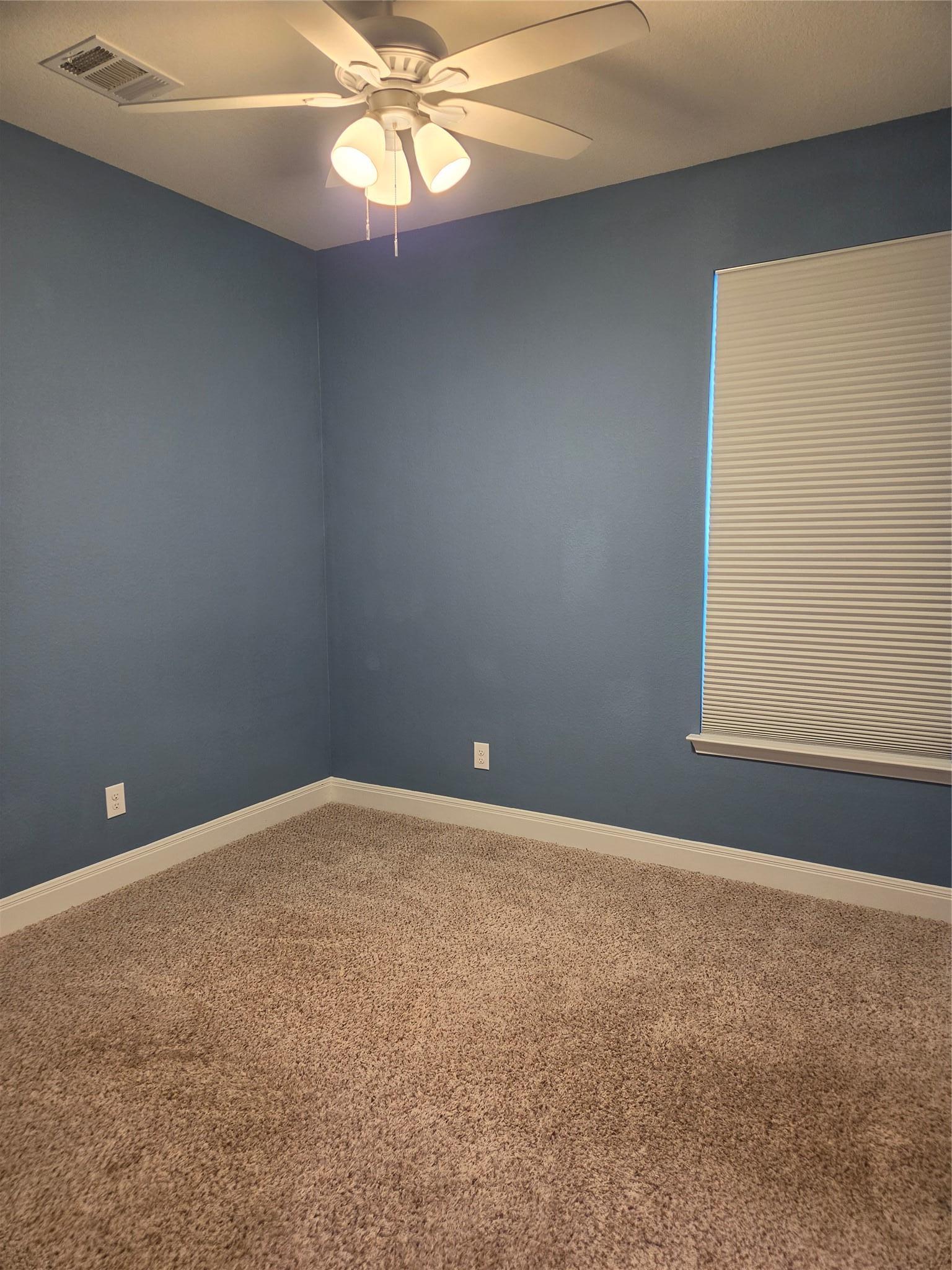 313 Los Cobos Lane Georgetown TX 78626