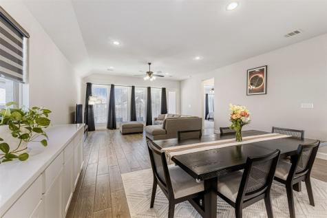 185 King Haakon Bay Drive Kyle TX 78640