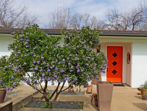 1601 E 19th Street Georgetown TX 78626