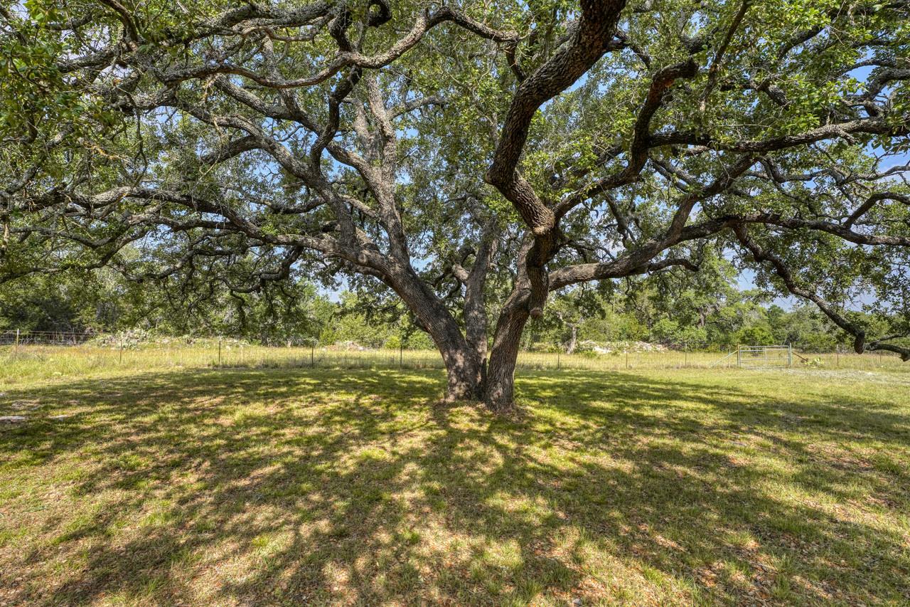 1050 Twisted Oak Drive Horseshoe Bay TX 78657