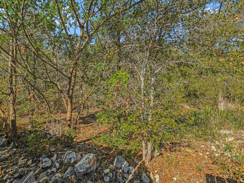 3908 Holt Drive Austin TX 78749