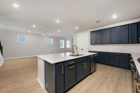 253 Ranier Way Dripping Springs TX 78620